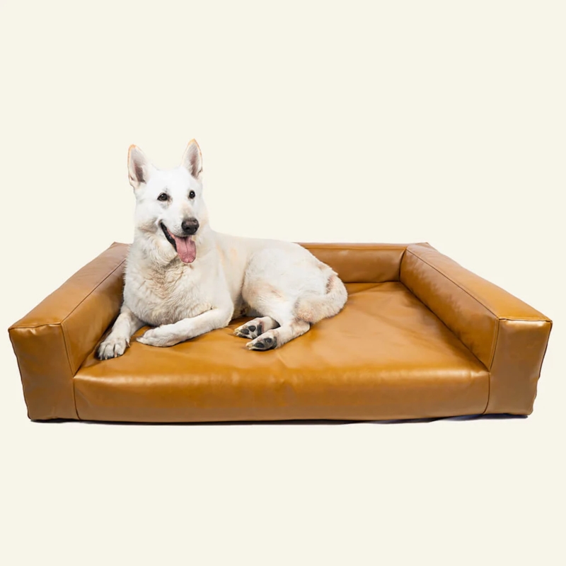 Modern Minimalist Pet Sofa with Piped Edges and Low Profile