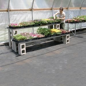 Modular Greenhouse Shelving with Tiered Levels on Cinder Block Base