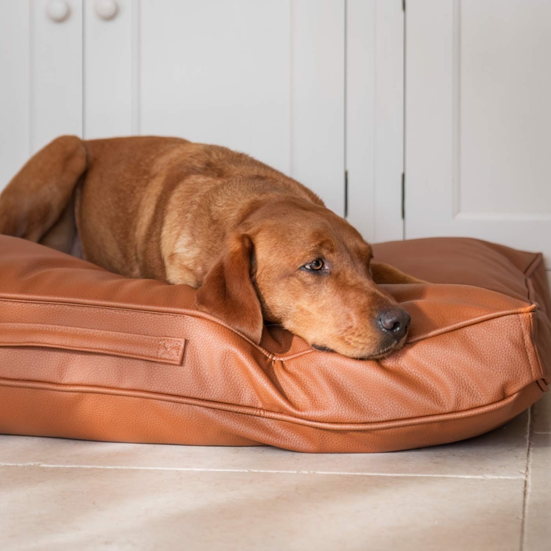 Overstuffed Dog Cushion in Desert Tan with Side Handle