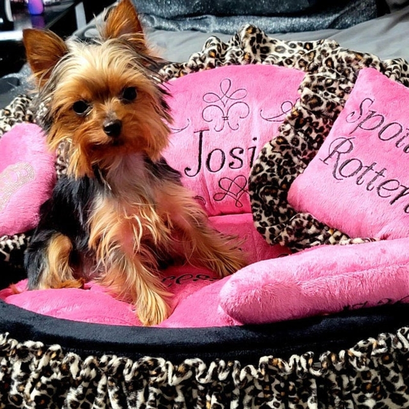 Pet Bed Leopard Ruffle Plush Pink Lining Personalized Embroidery Glam