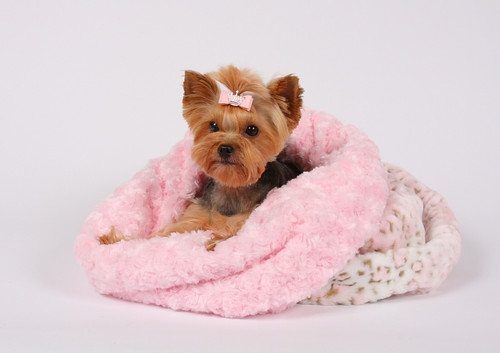Pet Bed, Pink Rose Textured Fur, Cuddle Cup Round
