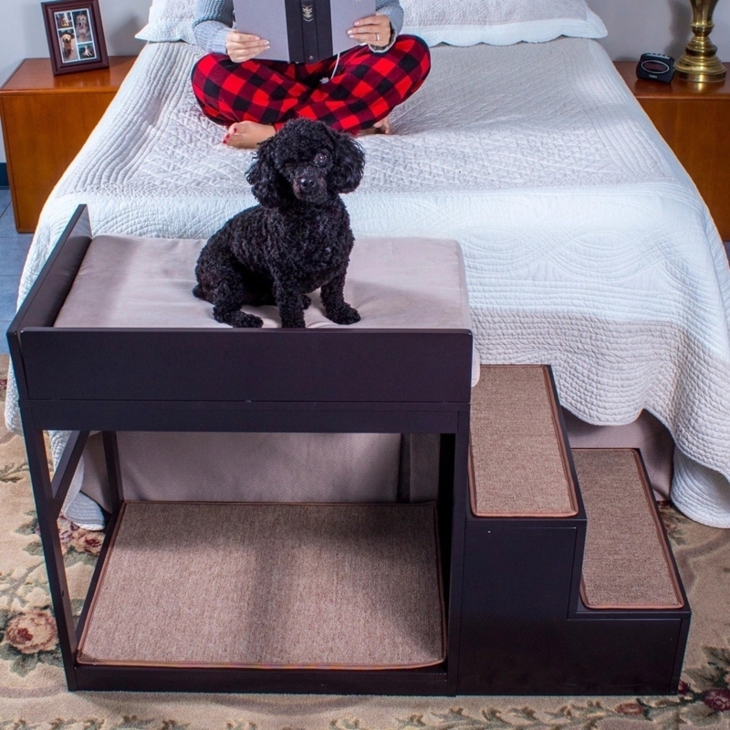Pet Bunk Bed With Integrated Stairs Dual Level Espresso Brown Wood