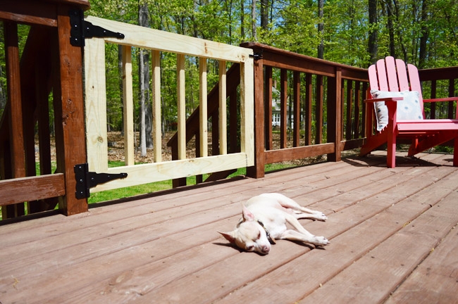 Pet Gate Black Strap Hinges Rustic DIY Wood Deck Railing Safety