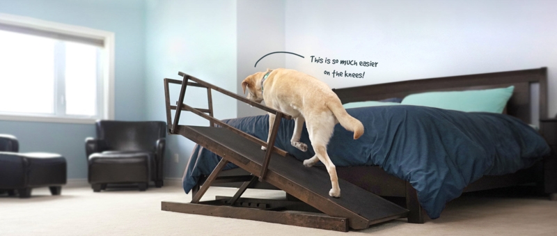 Pet Ramp Collapsible Frame Walnut Brown Adjustable Side Railings Anti Slip