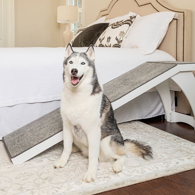 Pet Ramp Curved Frame Crisp White Carpeted Surface Landing Platform