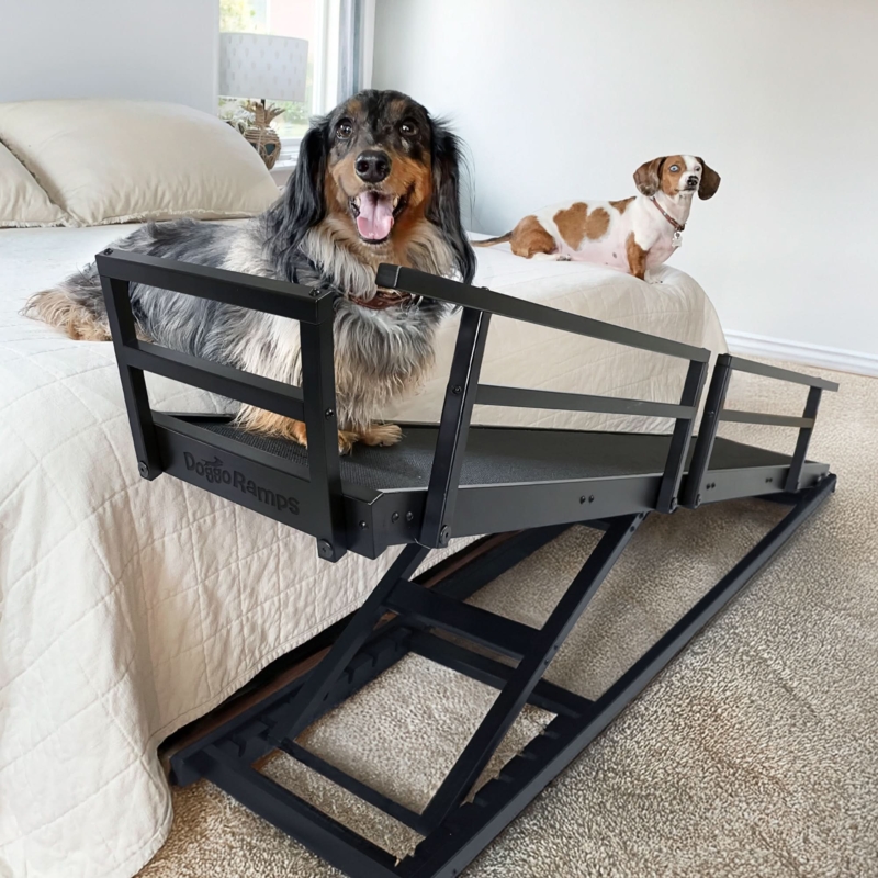 Pet Ramp Folding Base Matte Black Adjustable Side Railings Brand Engraving