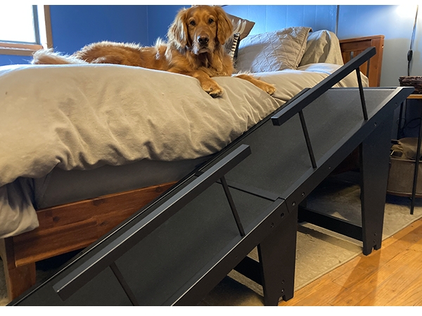 Pet Ramp Matte Black Finish Geometric Silhouette Modern