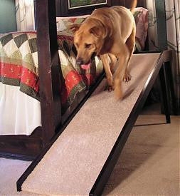Pet Ramp Tapered Legs Dark Espresso Carpeted Platform Landing Side Rails