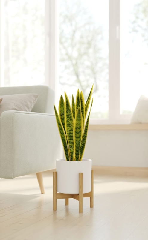 Plant Stand Cross Brace Support with Warm Honey Tone and Cylindrical Pot