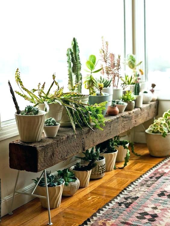 Plant Stand: Rustic Reclaimed Beam Shelf on Thin Metal Legs