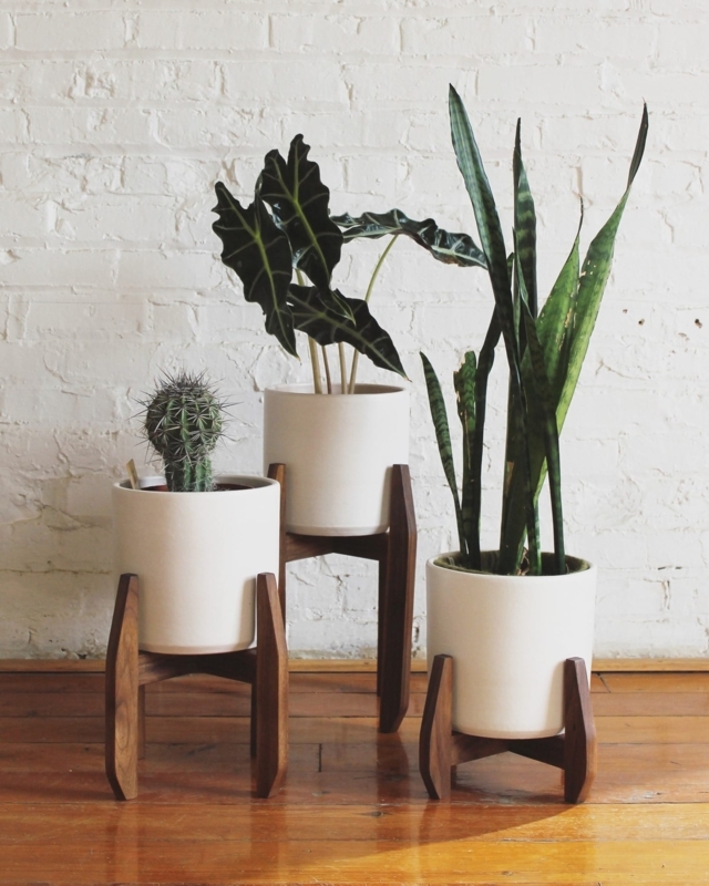 Plant Stand Walnut Toned Trio with Tapered Legs and Matte White Pots