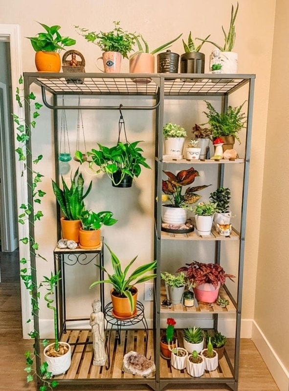 Plant Stand Wire Mesh Top Open Frame Hanging Rod Industrial Stand