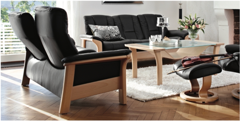 Recliner Sofa Matte Black Curved Bentwood Frame Scandinavian