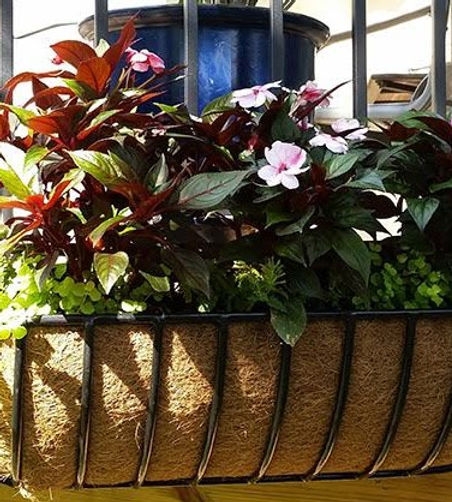 Small Wrought Iron Window Box with Coco Liner | WindowGardensDirect