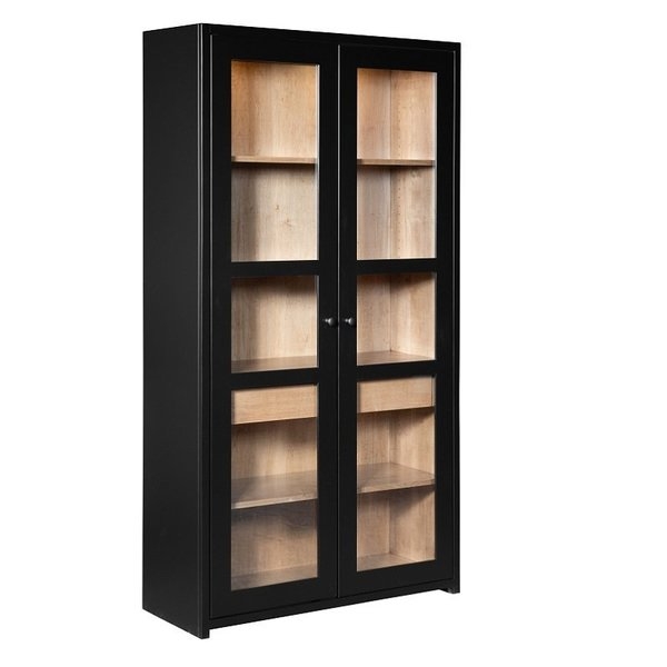 Storage Cabinet Modern Matte Black Interior Drawer Glass Doors