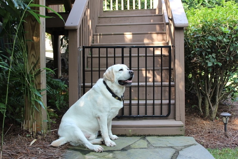 Strong Metal Dog Gate for Deck Stairs | Foter