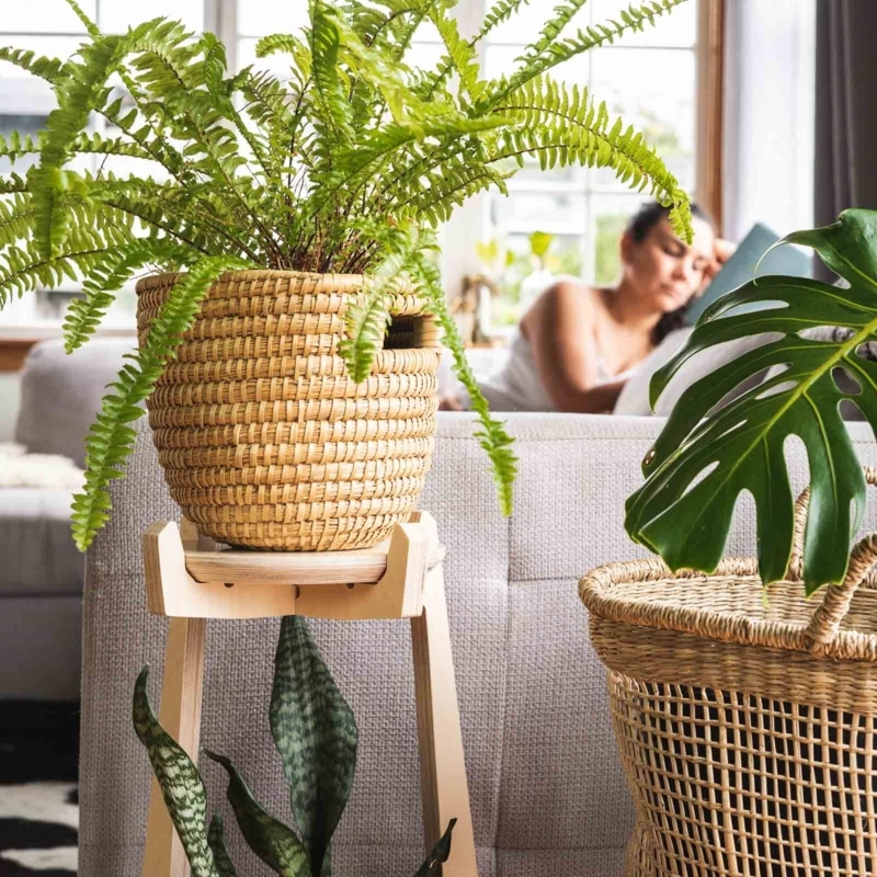 Tiered Plant Stand: Japandi Light Wood with Notched Joints