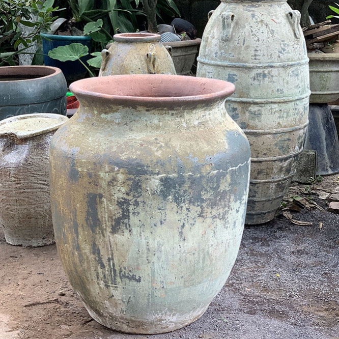 Tuscan Large Pottery - Cantaro  Panhandle Palm & Rock