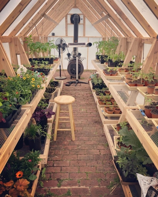 Two-Tiered Greenhouse Benches in Rustic Interior with Brick Flooring