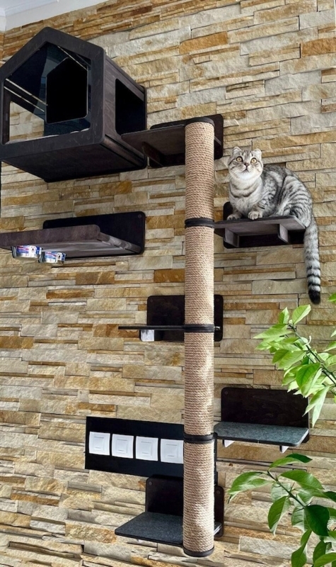 Wall Mounted Cat Tree Anchored Design Espresso Integrated Bowls