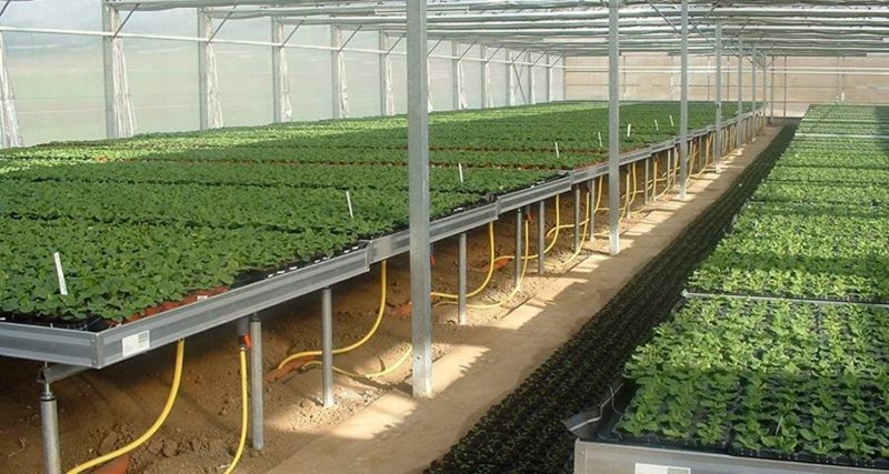 Welded Metal Greenhouse Bench Transplants Seeds and Display Potting