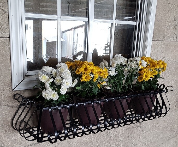 Wrought Iron Window Box with Curved Bars and Scrollwork