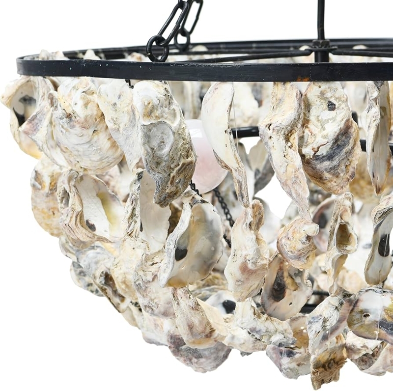 Amazon.com: Creative Co-Op Round Oyster Shell Chandelier with 2 Lights :  Tools & Home Improvement