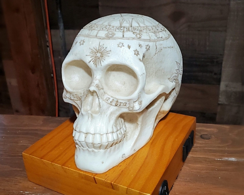 Astrology Skull Lamp with Zodiac Crown and Wood Base Outlets