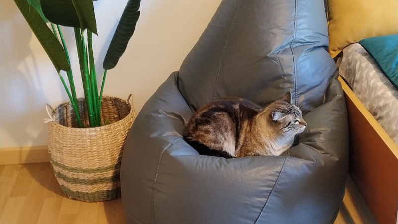 Bean Bag Charcoal Grey Leather Like Teardrop Shape