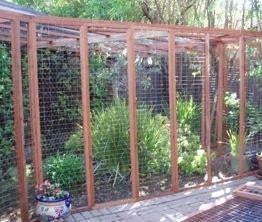 Cat Enclosure Extra Large Scale Rustic Wood Frame