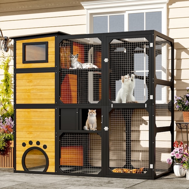 Cat Enclosure Paw Print Motif Four Tier Layout Black Wire