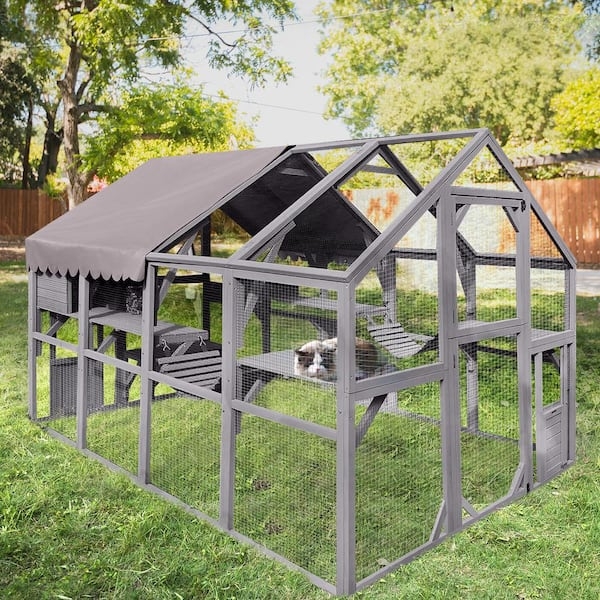 Cat Enclosure Scalloped Fabric Roof Interior Cat Bridge