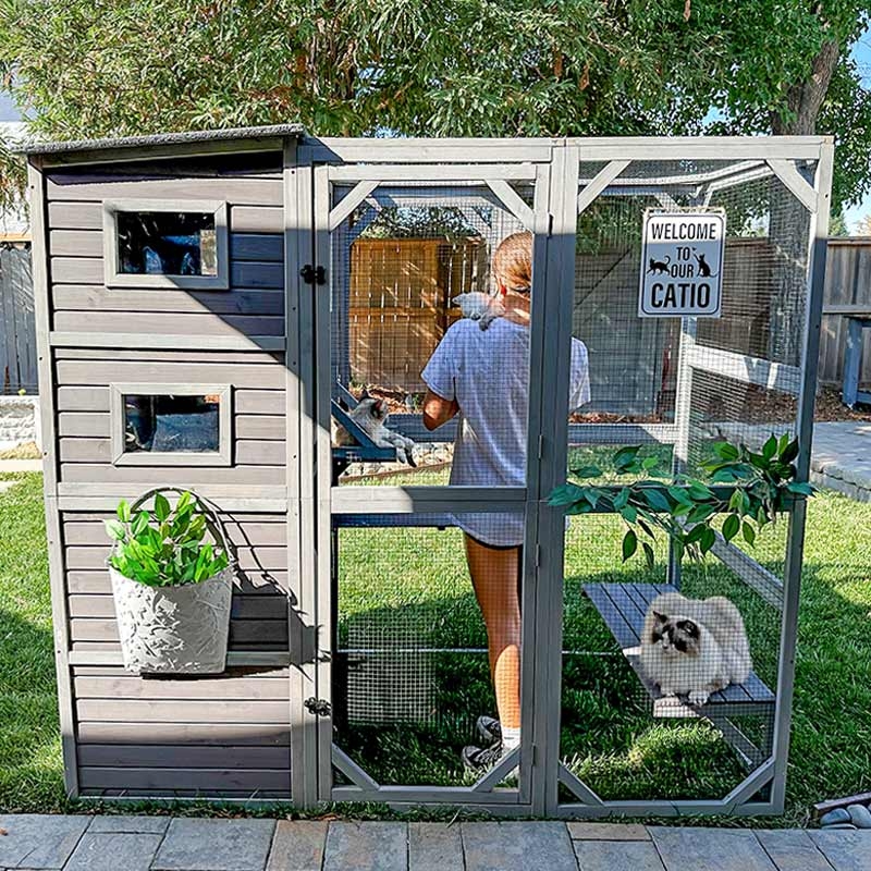 Cat Enclosure Slate Gray featuring Exterior Planter Basket