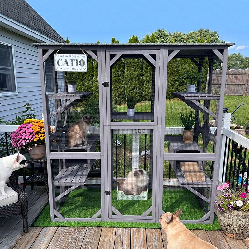 Cat Enclosure Slate Grey Finish with Integrated Hideaways