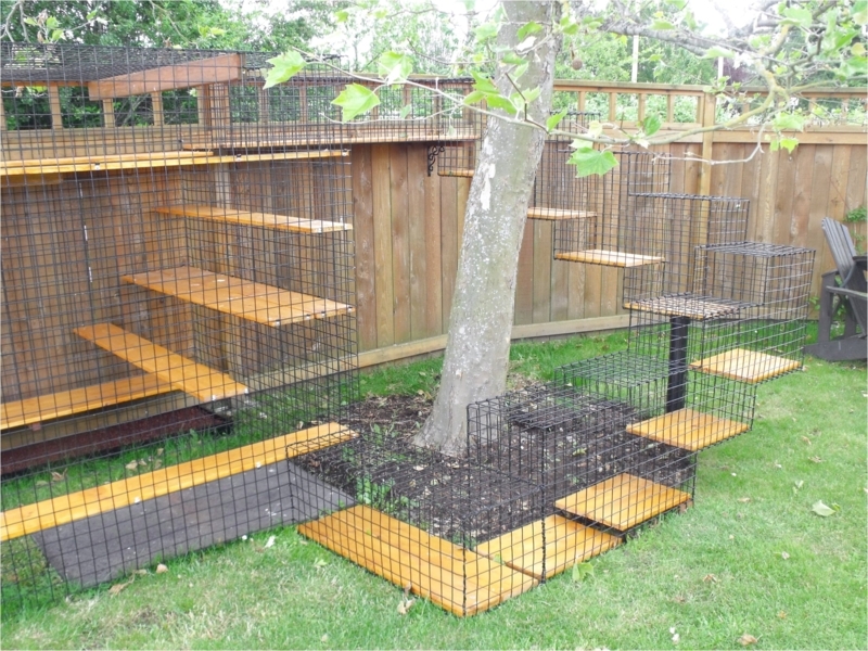 Cat Enclosure, Tree-Integrated Design, Staggered Platforms, Wire Grid