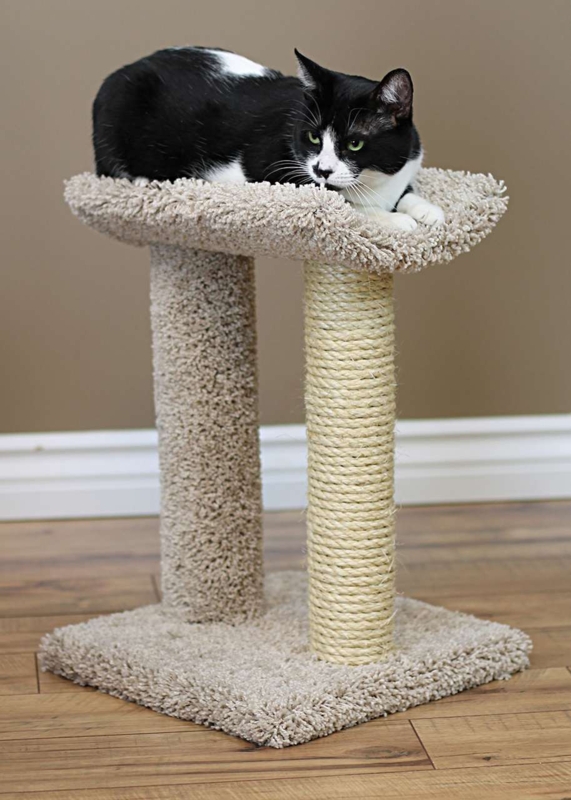 Cat Scratching Post Curved Perch Sisal Carpet Finish