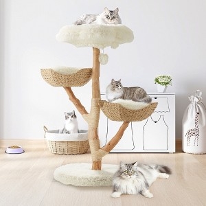 Cat Tower Featuring Woven Baskets: Organic Wood Cat Tree Design.