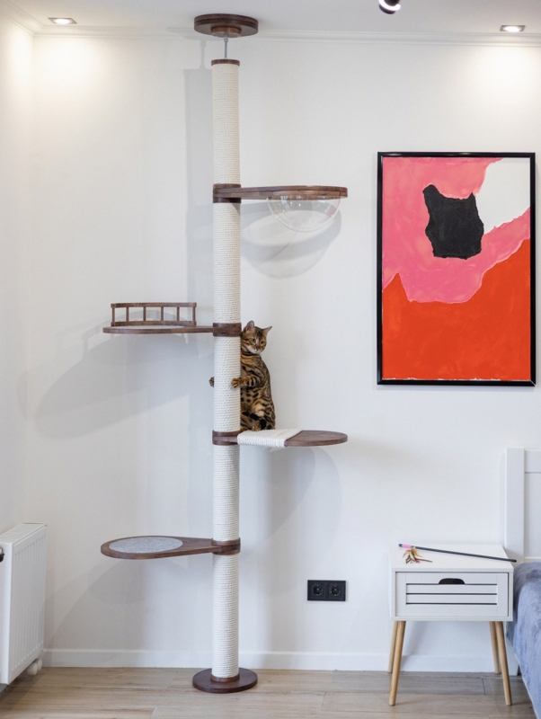 Cat Tower With Clear Acrylic Bubble: Modern Wood Floor To Ceiling Design.