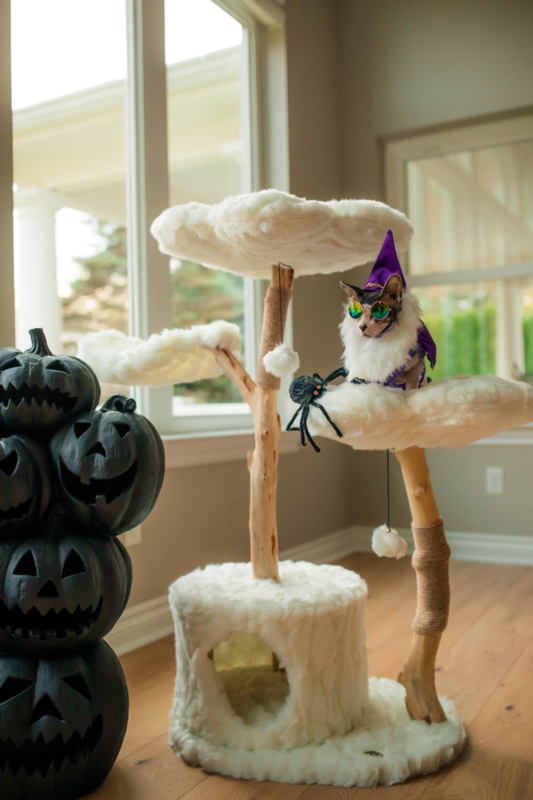 Cat Tree With Cloud Shaped Perches: Plush White Cat Furniture.