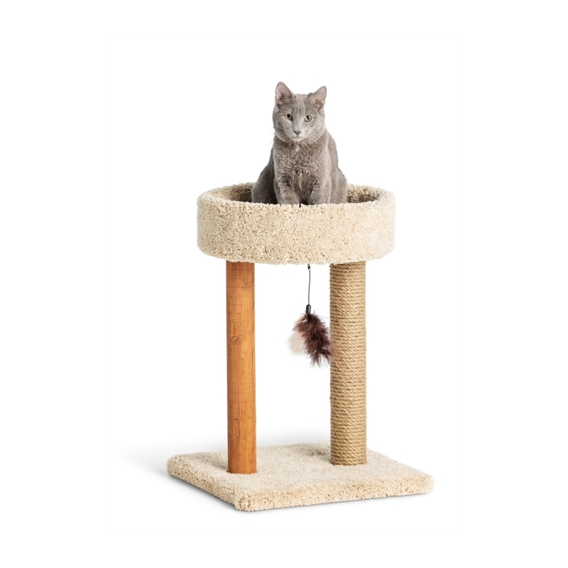 Cat Tree With Dual Post Support, Plush Cream Shag Carpet & Cuddler
