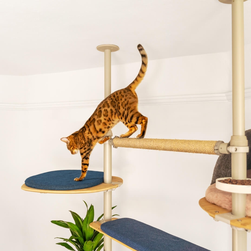 Cat Tree With Sisal Bridge: Modular Indoor Floor To Ceiling System.