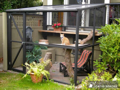 Catio Outdoor Playpen For Cats Eria H Cat Playpen Outdoor Cat Enclosures  Catio Foter