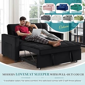 Convertible Sleeper Loveseat with Reclining Backrest in Black