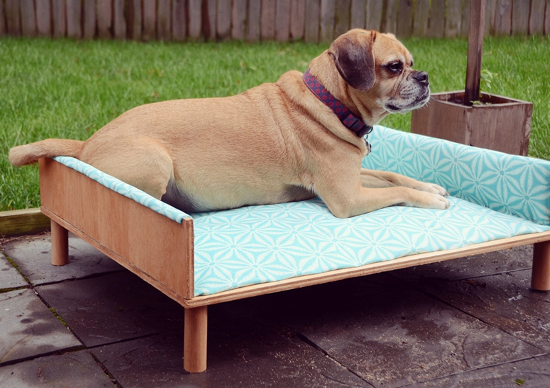 DIY Upholstered Outdoor Dog Bed - Curbly