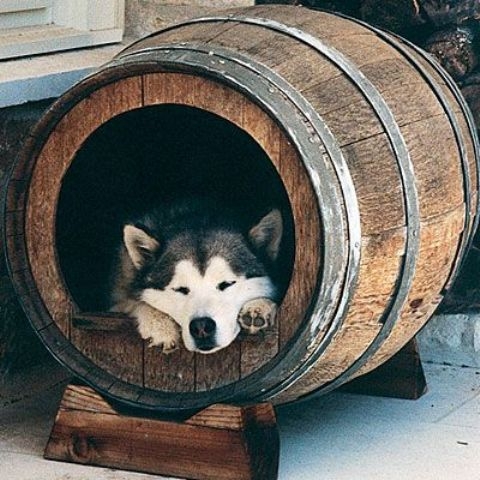 Dog Bed Barrel Shape Wood Metal Hoops Farmhouse