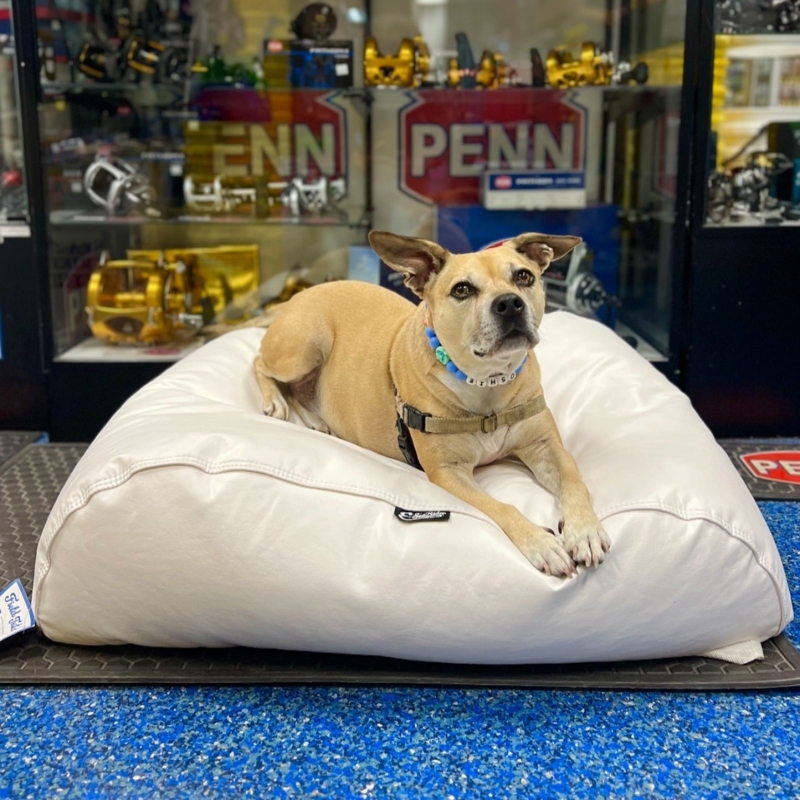 Dog Bed Beanbag Form Marine Grade Vinyl Stark White