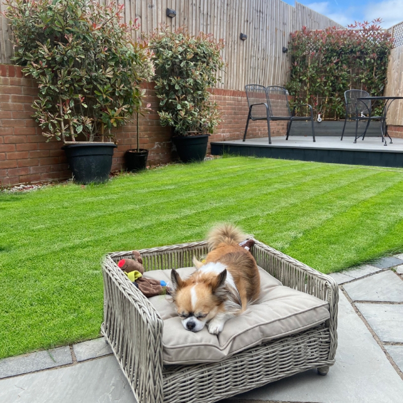 Dog Bed Bun Feet, Weathered Grey Wicker Sofa Elevated Patio Lounger