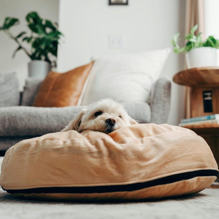 Dog Bed Warm Beige Round Silhouette Zippered Cover