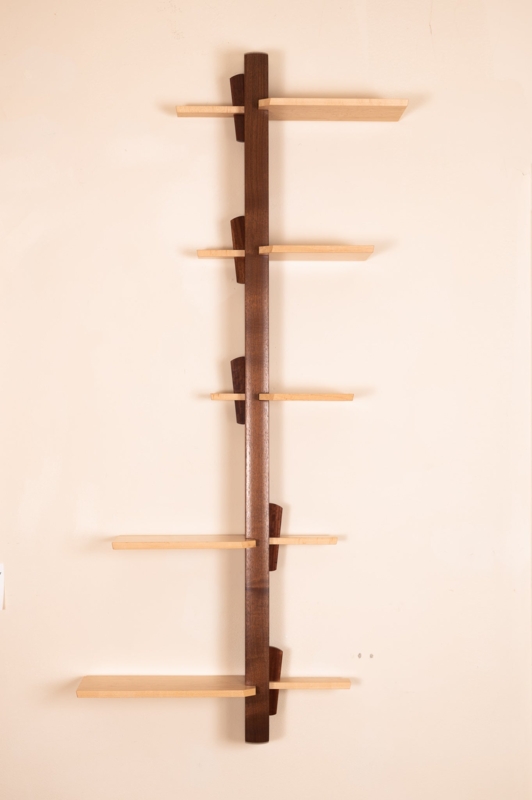 Dual-Tone Spine Wall Shelf with Asymmetrical Walnut and Oak Tiers