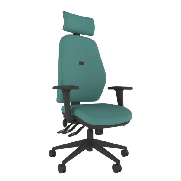 Ergonomic Desk Chair in Teal Green with Multi-Lever Controls